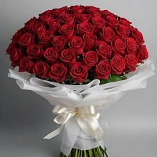 Букет 101 Красная роза Блэк Мэджик #REPLACE_PRED# Бутырке