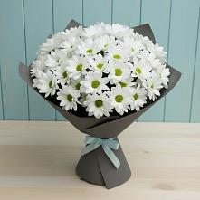 Букет цветов из:  Хризантемы #REPLACE_PRED# Бутырке