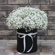 Цветочная композиция из Гипсофила в шляпной коробке #REPLACE_PRED# Бутырке