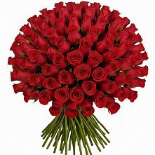 Букет Красные розы Чери Лав #REPLACE_PRED# Бутырке