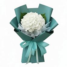 Букет цветов из:  Гортензия в Бутырке